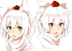 inubashiri momiji from touhou
