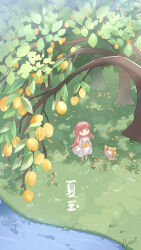 momo (nikki) from nikki (series)