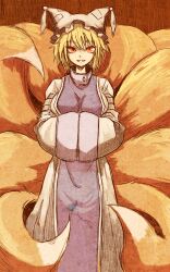 yakumo ran from touhou by hoshitetsu ringo