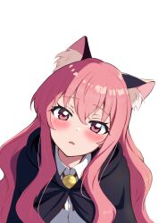 louise francoise le blanc de la valliere from zero no tsukaima