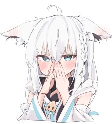 shirakami fubuki from hololive