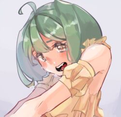 ranka lee from macross