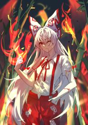fujiwara no mokou from touhou