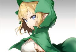 ryu lion from dungeon ni deai wo motomeru no wa machigatteiru darou ka
