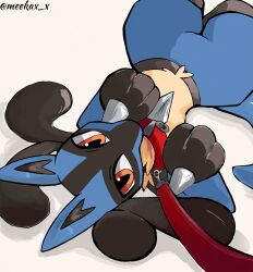 lucario from pokemon
