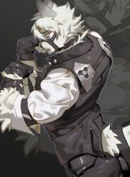 von lycaon from zenless zone zero