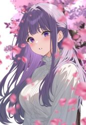 fern (sousou no frieren) from sousou no frieren