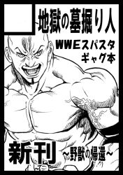 wwe fan art