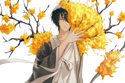 yi sang (project moon) from limbus company