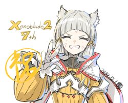 nia (xenoblade) from xenoblade chronicles (series) by saitou masatsugu