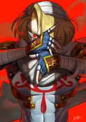sheik from super smash bros. by dancho no mori