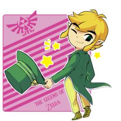 link from nintendo