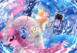 feebas from pokemon