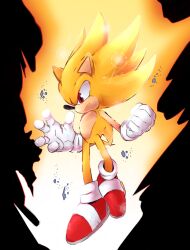 sonic the hedgehog from sonic (series)