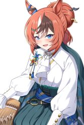umamusume fan art