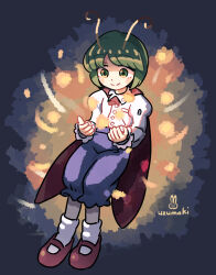 wriggle nightbug from imperishable night