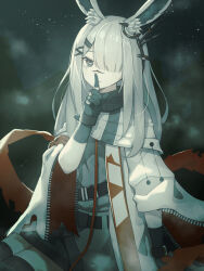 frostnova (arknights) from arknights