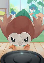 decidueye from pokemon