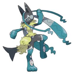 lucario from pokemon