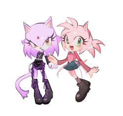 amy rose from sonic (series)