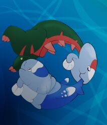 arctovish from pokemon