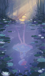 ahiru (princess tutu) from princess tutu