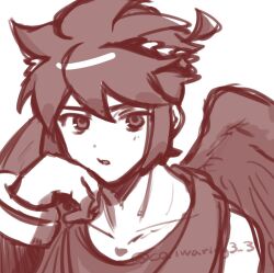 dark pit from kid icarus