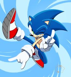 sonic the hedgehog from sonic (series)