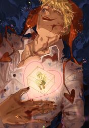 donquixote rocinante from one piece