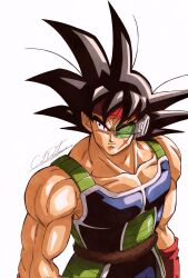 bardock from dragon ball
