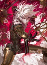 karna (fate) from fate/apocrypha by egawa akira