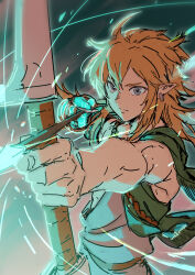 link from the legend of zelda