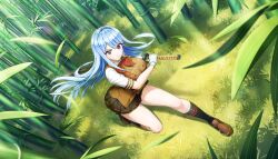 chouun shiryuu from dolphin wave by ootomo takuji
