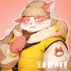 bungo (tamacolle) from tamacolle