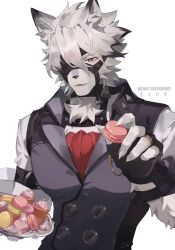 von lycaon from zenless zone zero