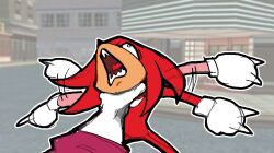 knuckles the echidna from sonic (series)