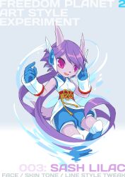 sash lilac from freedom planet by tyson tan