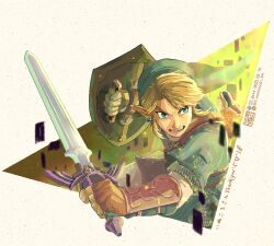 link from the legend of zelda