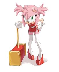 amy rose from sonic (series)