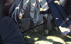 fu hua from honkai (series)