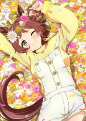 rhein kraft (umamusume) from umamusume