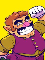 wario from nintendo by yowasabimechaoc
