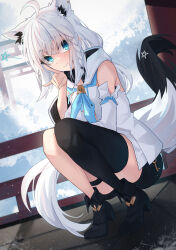 shirakami fubuki from hololive