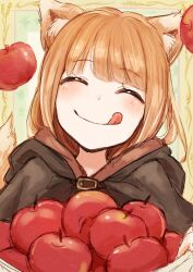 holo from spice and wolf
