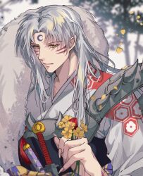 sesshoumaru from inuyasha
