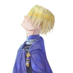 dimitri alexandre blaiddyd from fire emblem