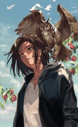 eren yeager from shingeki no kyojin