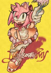amy rose from sonic (series)