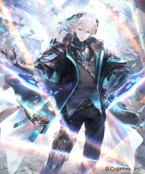 shadowverse fan art