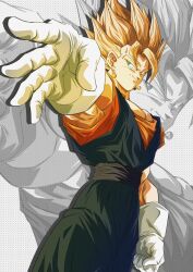 vegetto from dragon ball